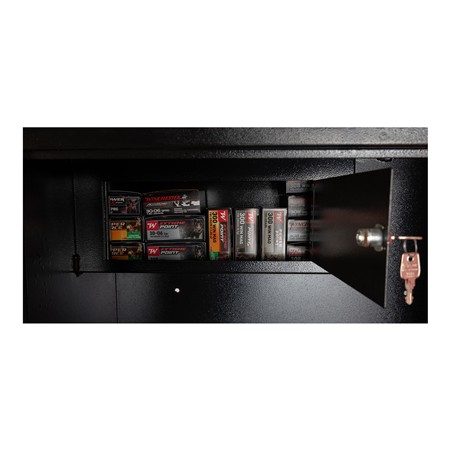 ARMOIRE FORTE WINCHESTER 10 ARMES RED ROCK