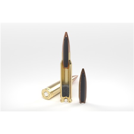 BALLE DE CHASSE BRENNEKE SUBSONIC BTHP - 200GR - CALIBRE 308 WINCHESTER