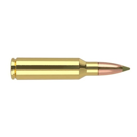 Balle De Chasse Nosler Eta - 180Gr - Calibre 300 Wsm