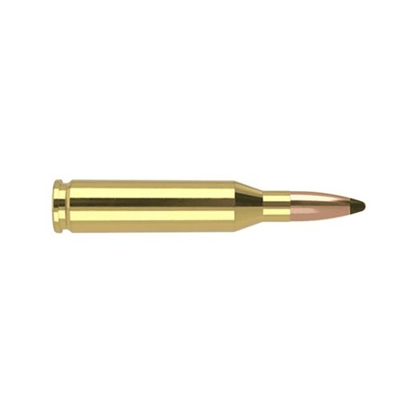 Balle De Chasse Nosler Tga - 85Gr - Calibre 243 Winchester