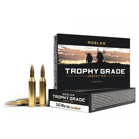 Balle De Chasse Nosler Tga - 90Gr - Calibre 243 Winchester