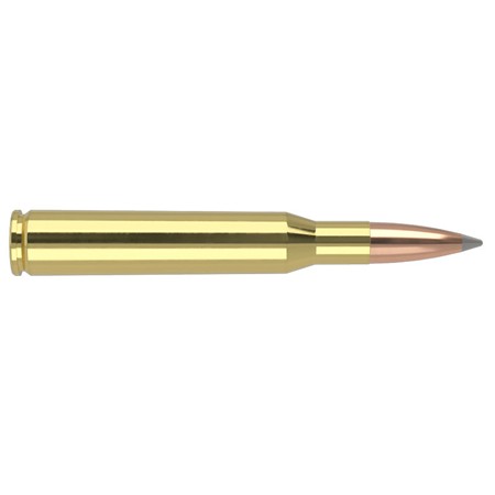 BALLE DE CHASSE NOSLER TGA ABLR SP - 150GR - CALIBRE 270 WINCHESTER