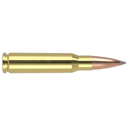 BALLE DE CHASSE NOSLER TGA PT SP - 168GR - CALIBRE 308 WINCHESTER