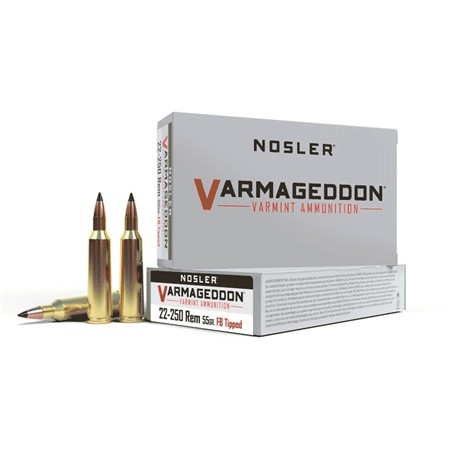 Balle De Chasse Nosler Vga - 55Gr - Calibre 22-250 Remington