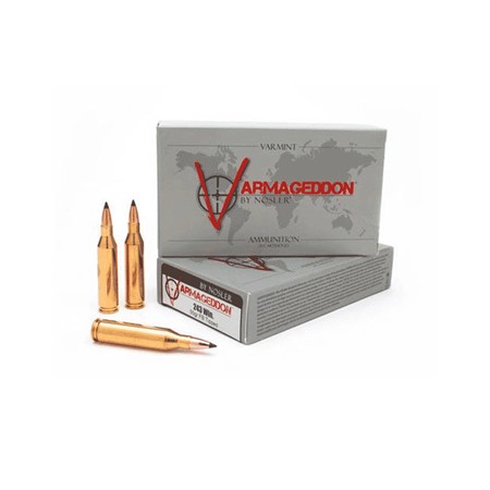 Balle De Chasse Nosler Vga - 55Gr - Calibre 243 Winchester