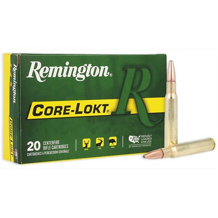 Balle De Chasse Remington - 165Gr - Calibre 30-06 Springfield