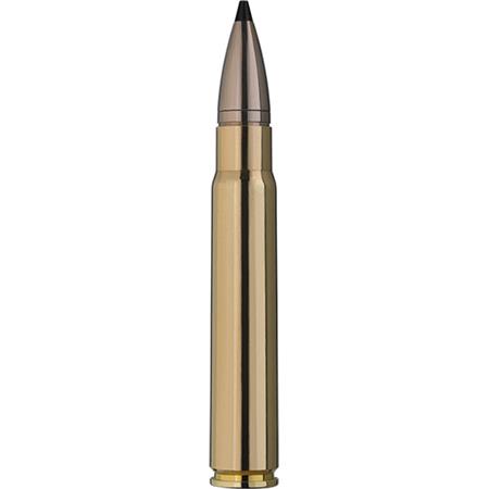 BALLE DE CHASSE RWS SPEED TIP PRO - 258GR - CALIBRE 9.3X62