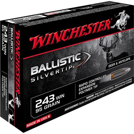 Balle De Chasse Winchester Ballistic Silvertip - 95Gr - Calibre 243 Win
