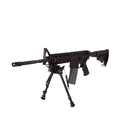 BIPIED SIGHT MARK
