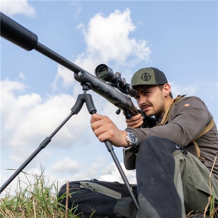 BIPIED SPARTAN SPRINGBOK