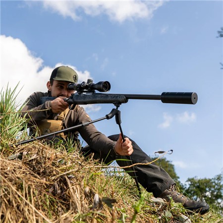 BIPIED SPARTAN SPRINGBOK