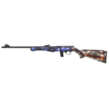 CARABINE 22 LONG RIFLE ROSSI 8122 USA