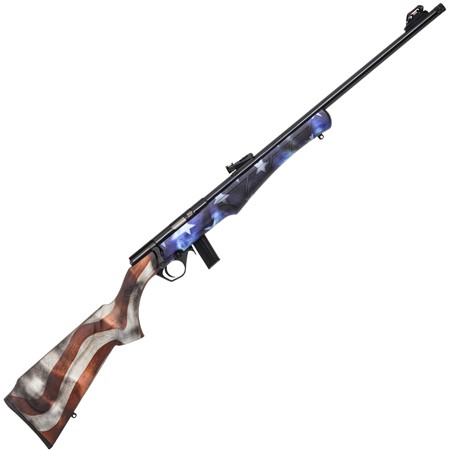 Carabine 22 Long Rifle Rossi 8122 Usa