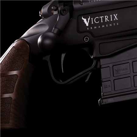 CARABINE 22 LONG RIFLE VICTRIX ARDEA