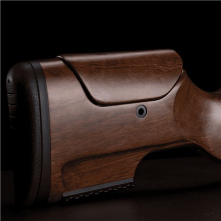 CARABINE 22 LONG RIFLE VICTRIX ARDEA