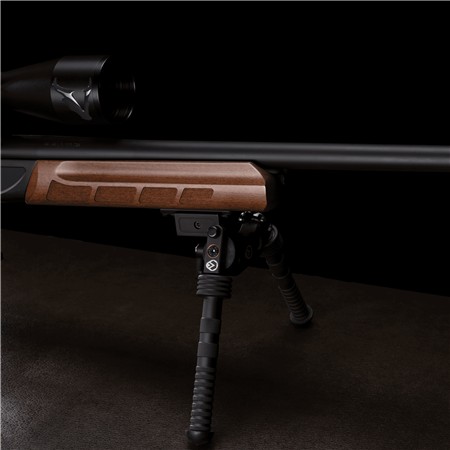 CARABINE 22 LONG RIFLE VICTRIX ARDEA