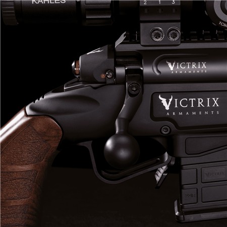 CARABINE 22 LONG RIFLE VICTRIX ARDEA