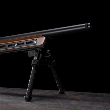 CARABINE 22 LONG RIFLE VICTRIX LYNX