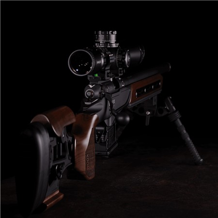 CARABINE 22 LONG RIFLE VICTRIX LYNX