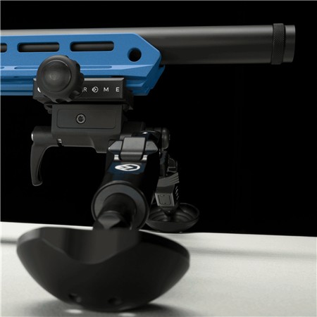 CARABINE 22 LONG RIFLE VICTRIX MOTION