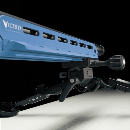 CARABINE 22 LONG RIFLE VICTRIX MOTION