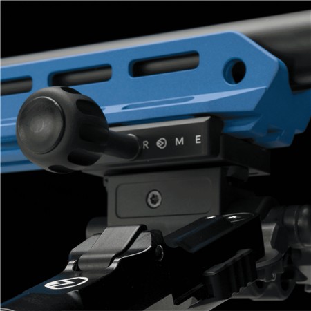 CARABINE 22 LONG RIFLE VICTRIX MOTION