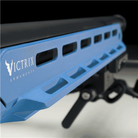 CARABINE 22 LONG RIFLE VICTRIX MOTION