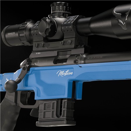 CARABINE 22 LONG RIFLE VICTRIX MOTION