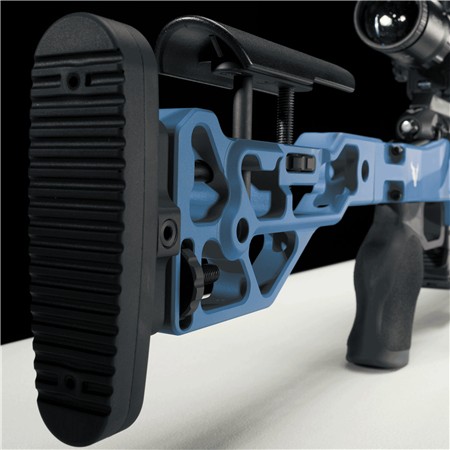 CARABINE 22 LONG RIFLE VICTRIX MOTION