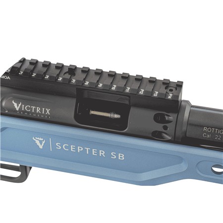CARABINE 22 LONG RIFLE VICTRIX SCEPTER SMALL BORE