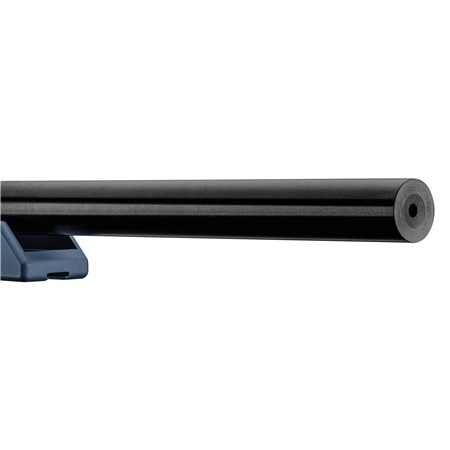CARABINE 22 LONG RIFLE VICTRIX SCEPTER SMALL BORE
