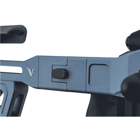 CARABINE 22 LONG RIFLE VICTRIX SCEPTER SMALL BORE