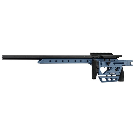 CARABINE 22 LONG RIFLE VICTRIX SCEPTER SMALL BORE