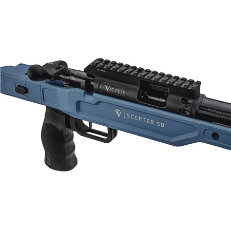 CARABINE 22 LONG RIFLE VICTRIX SCEPTER SMALL BORE