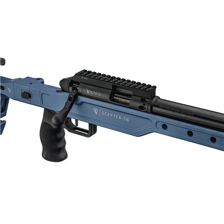 CARABINE 22 LONG RIFLE VICTRIX SCEPTER SMALL BORE