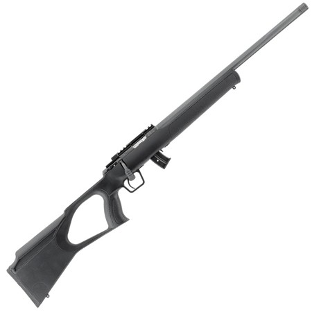 Carabine 22Lr Umarex Regent Rba1
