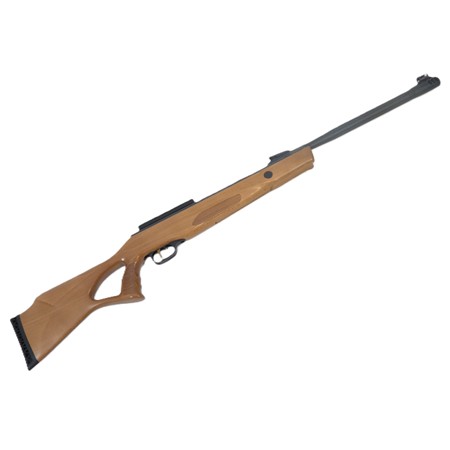 Carabine À Air Comprimé Beeman Modèle 10620 - Beeman 10620 + Lunette 6X40