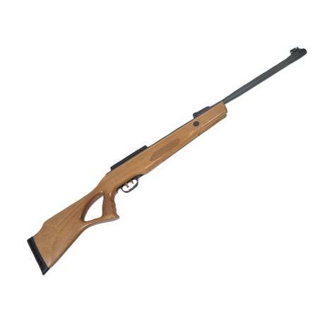 Carabine À Air Comprimé Beeman Modèle 10620 - Beeman 10620 + Lunette 6X40