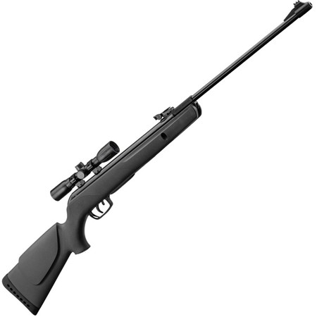 Carabine À Air Comprimé Gamo Big Cat 1000E