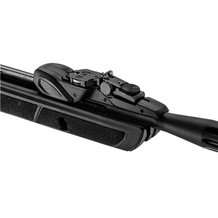 CARABINE À AIR COMPRIMÉ GAMO ROADSTER IGT 10X GENERATION 2