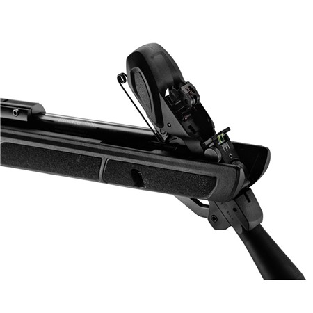 CARABINE À AIR COMPRIMÉ GAMO ROADSTER IGT 10X GENERATION 2