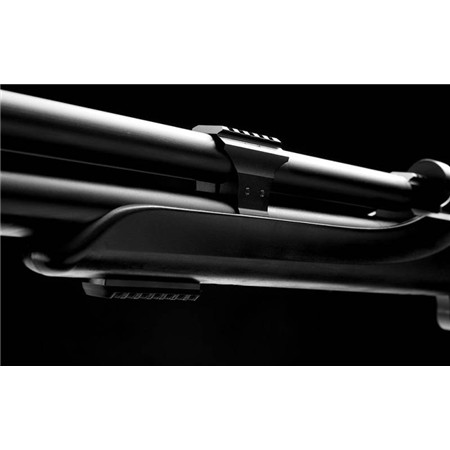 CARABINE À AIR COMPRIMÉ SNOWPEAK M25
