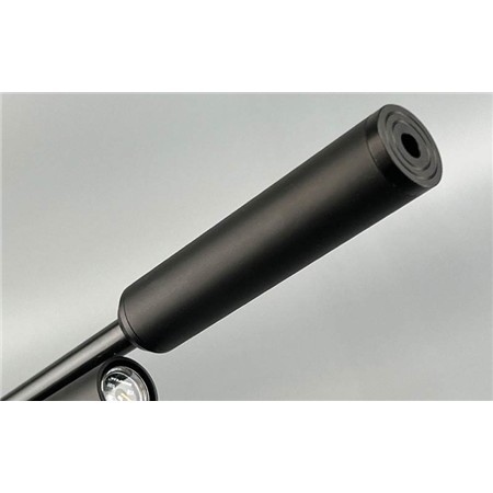 CARABINE À AIR COMPRIMÉ SNOWPEAK PR900 GEN3 BOIS