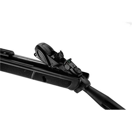 CARABINE A PLOMB GAMO ROADSTER IGT 10X GEN2 5.5