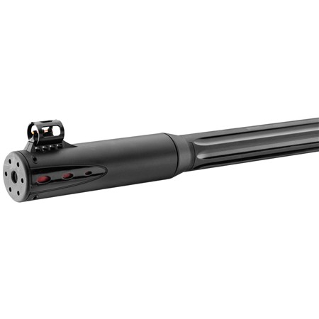 CARABINE A PLOMB GAMO ROADSTER IGT 10XGEN2 4.5
