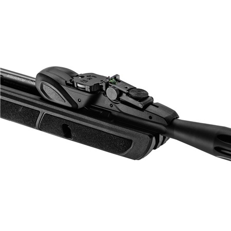 CARABINE A PLOMB GAMO ROADSTER IGT 10XGEN2 4.5