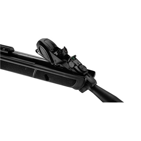 CARABINE A PLOMB GAMO ROADSTER IGT 10XGEN2 4.5