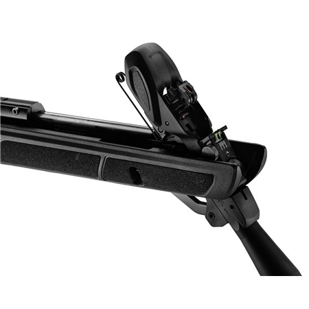 CARABINE A PLOMB GAMO ROADSTER IGT 10XGEN2 4.5