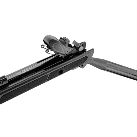 CARABINE A PLOMB GAMO ROADSTER IGT 10XGEN2 4.5