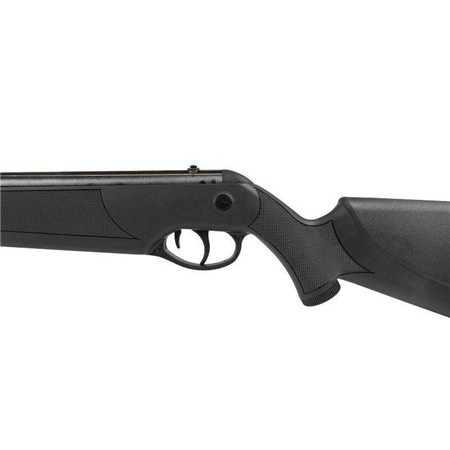 CARABINE À PLOMB ROSSI DIONE 5G - 4.5MM
